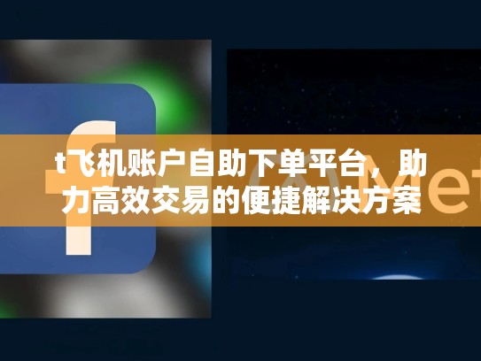 t飞机账户自助下单平台，助力高效交易的便捷解决方案