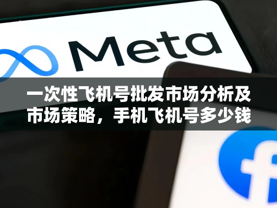 一次性飞机号批发市场分析及市场策略，手机飞机号多少钱